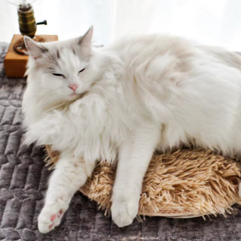 Usb Heated Pet Bed Waterproof Electric Heating Blanket Winter Dog Cat Heated Mat Indoor Pet Good Thermal Insulation Heating Pads